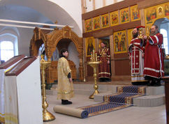 Вынос Чаши 13.02.2011 